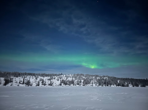 2025-01-11_10.jpg